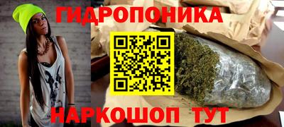 стафф Новозыбков