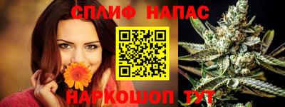 стафф Новозыбков