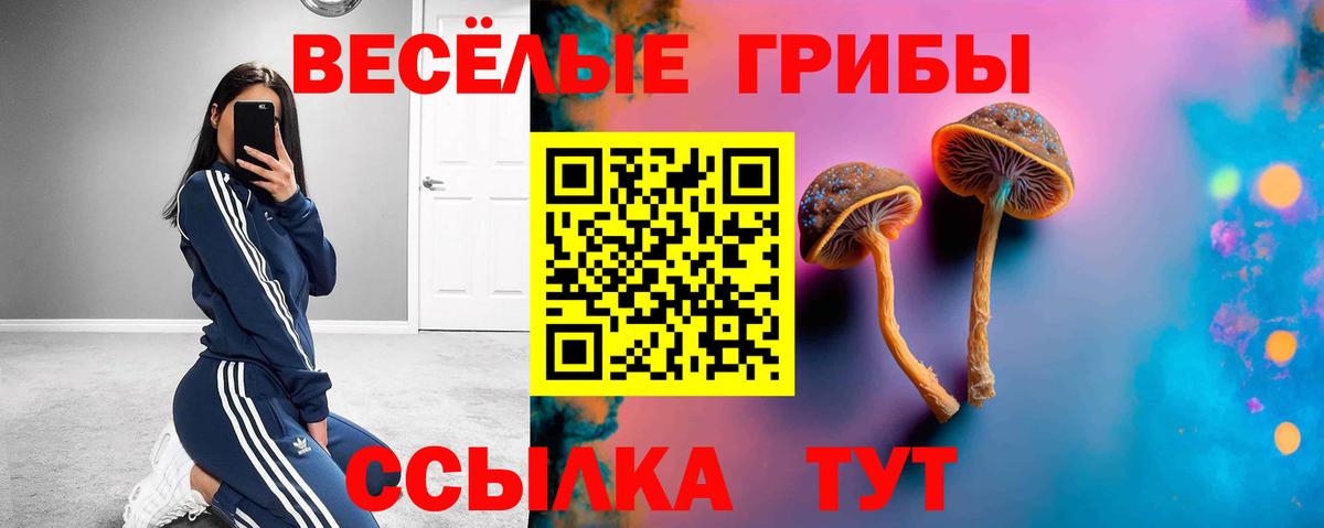 Псилоцибиновые грибы прущие грибы  Вход с VPN  Сергиев Посад 